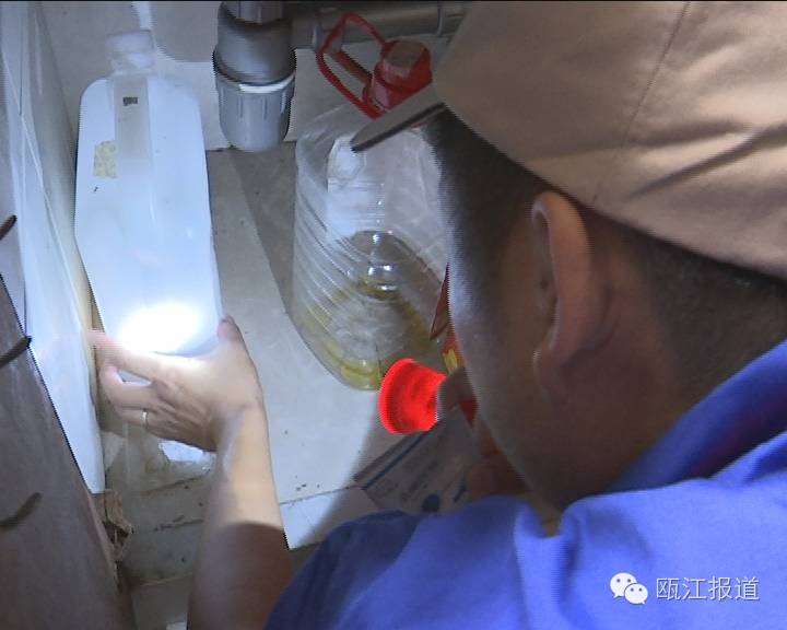 十大最有效的灭蟑方法不用蟑螂药,如何免费的灭蟑螂