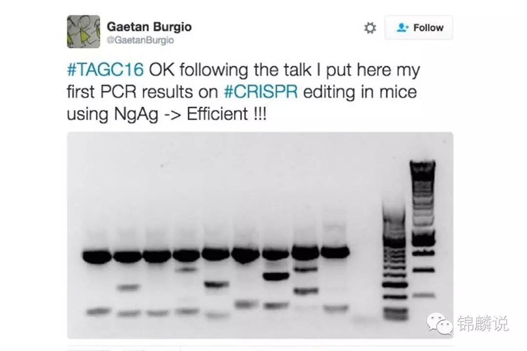 沉默的韩春雨:不可重复的NgAgo实验?