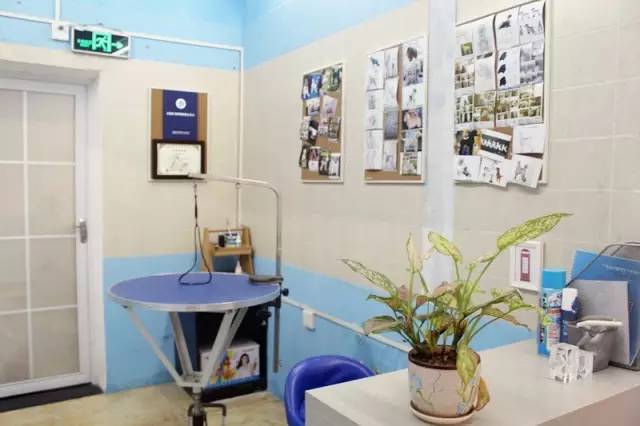 喂！住一晚160块，看次病成千上万！武汉这些狗活得太好了吧！