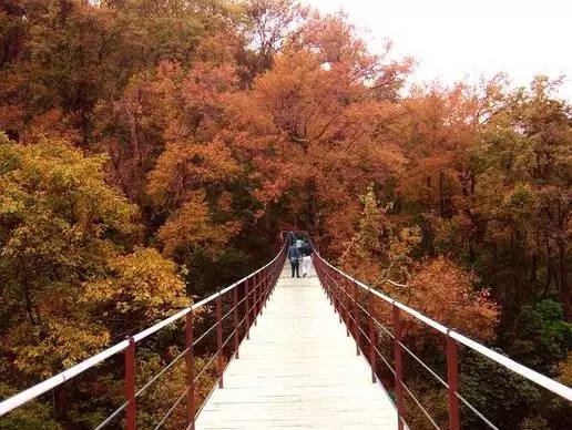 头条|再有人说广西没有秋天，就把这条微信甩给TA看！