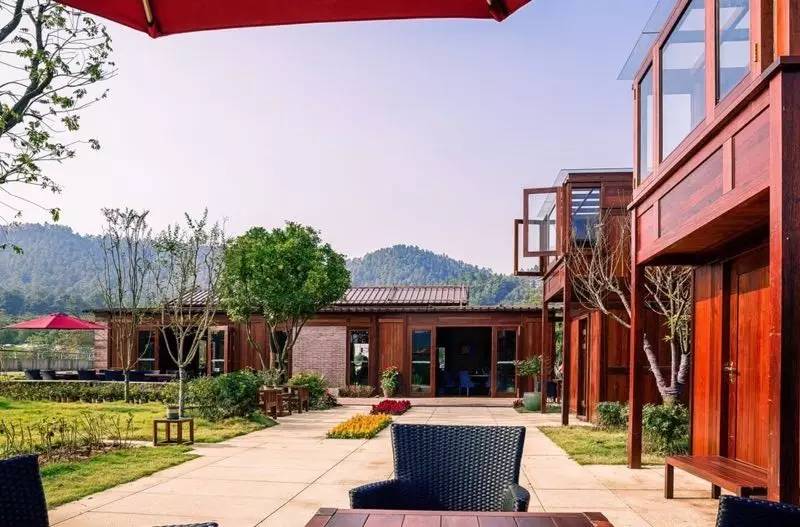 漫山蓝莓田、黑松林之间，这100户人家的乌托邦，邀你来做“后天亲人”