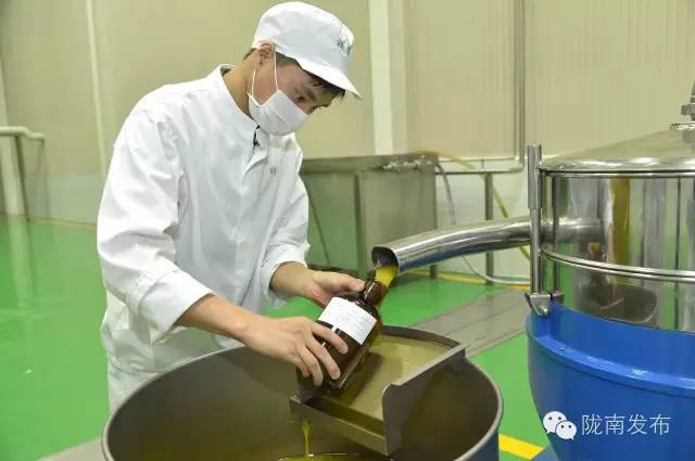 最美橄榄季，小武带您探访“特级初榨”是如何炼成的~