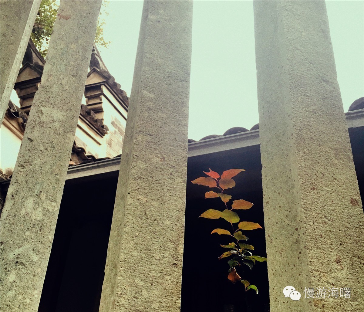 新宁波人游海曙，看完觉得自己这么多年宁波白待了！有奖征集作品02