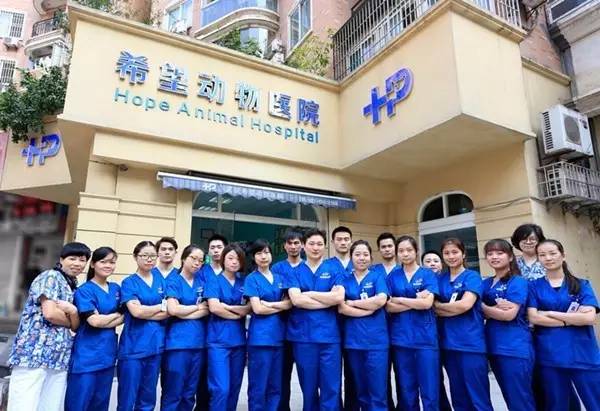 喂！住一晚160块，看次病成千上万！武汉这些狗活得太好了吧！