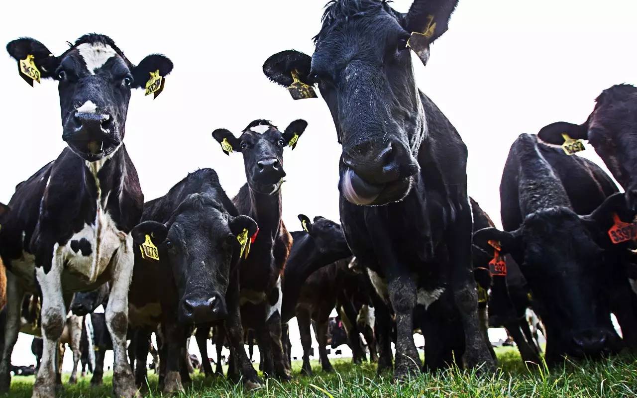 昨夜今晨重大事件汇总,今晨发生的最新消息