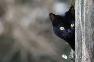 榛戝柕杩囩▼閲嶈杩樻槸缁撴灉閲嶈,榛戝柕浠ュ悗杩橀渶涓嶉渶瑕侀伩瀚屼簡