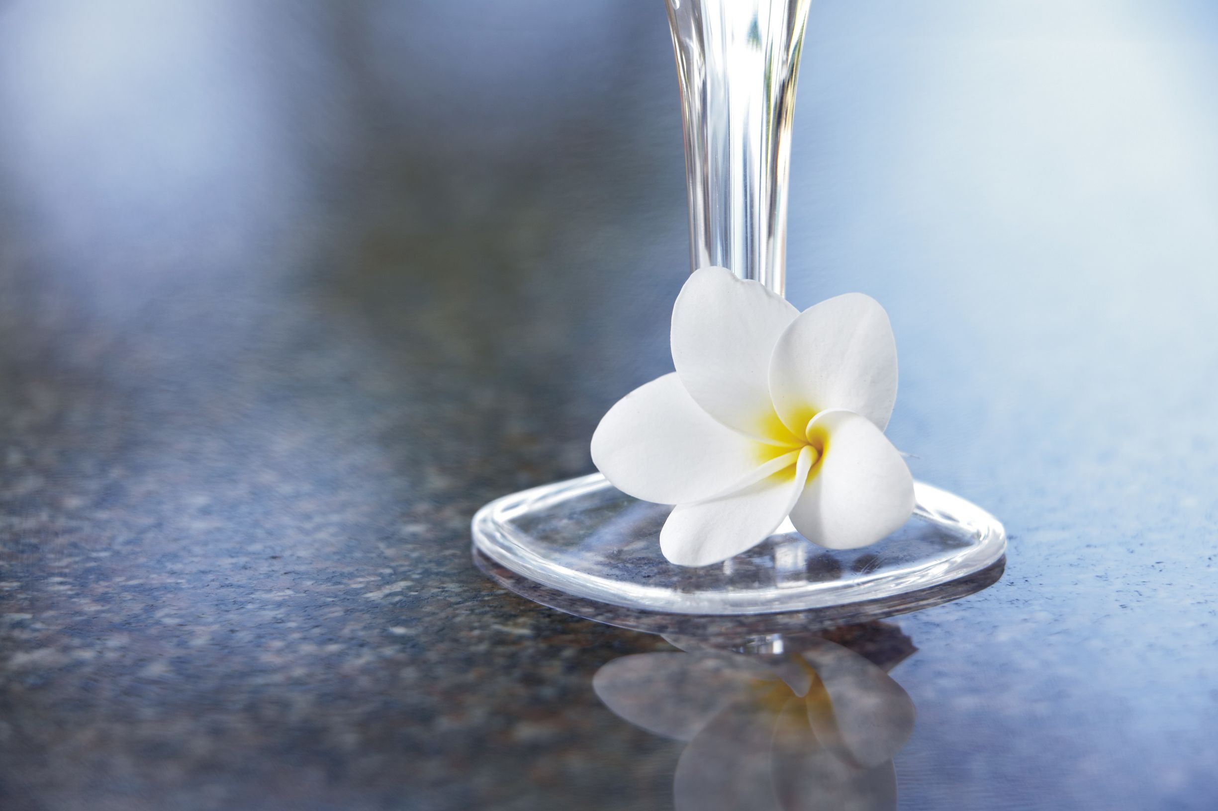 三亚瑞吉大酒店攻略,三亚瑞吉度假酒店房间推荐