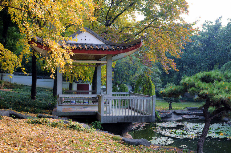 长沙的秋天去哪了,长沙秋天适合去的地方