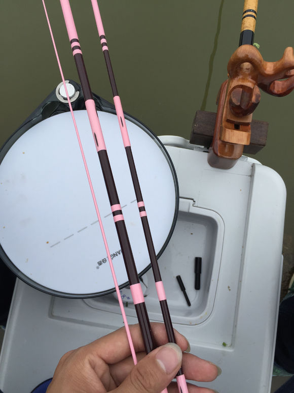 新手钓鱼，用2000的竿子，值不值？