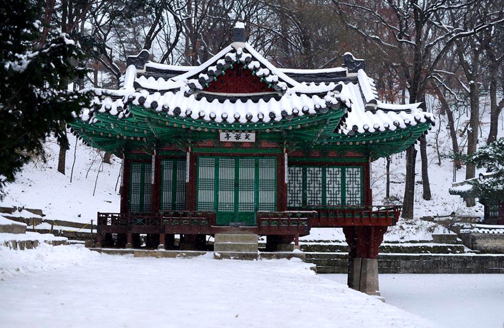 年假攒起来慢生活走起