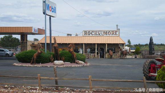 在美国旅游视频教学,美国自由行自驾游