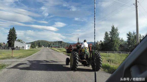 在美国旅游日常,在美国旅游攻略大全最新