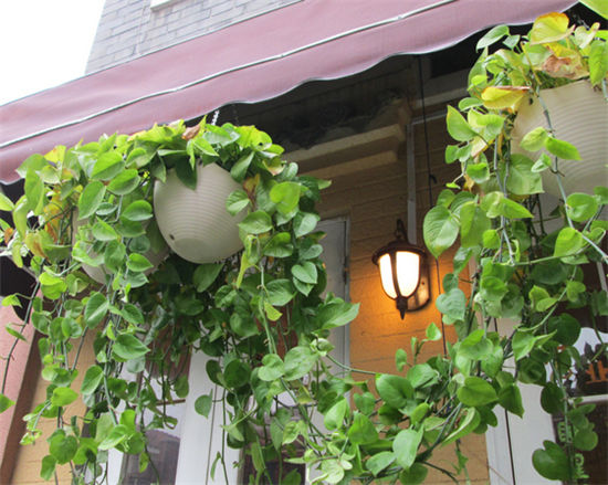 分享和前男友旧情复燃聊天记录,和前男友旧情复燃聊天记录