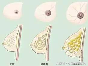 怎样才能成为奶牛,成为奶牛