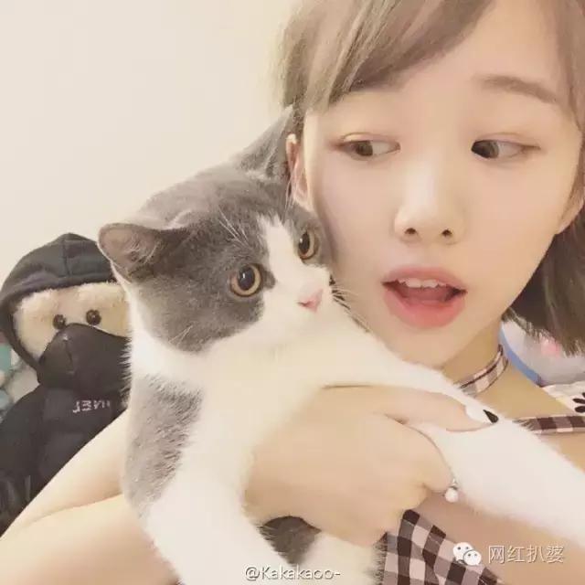 王清媛和刘阳,和王清媛同期的网红