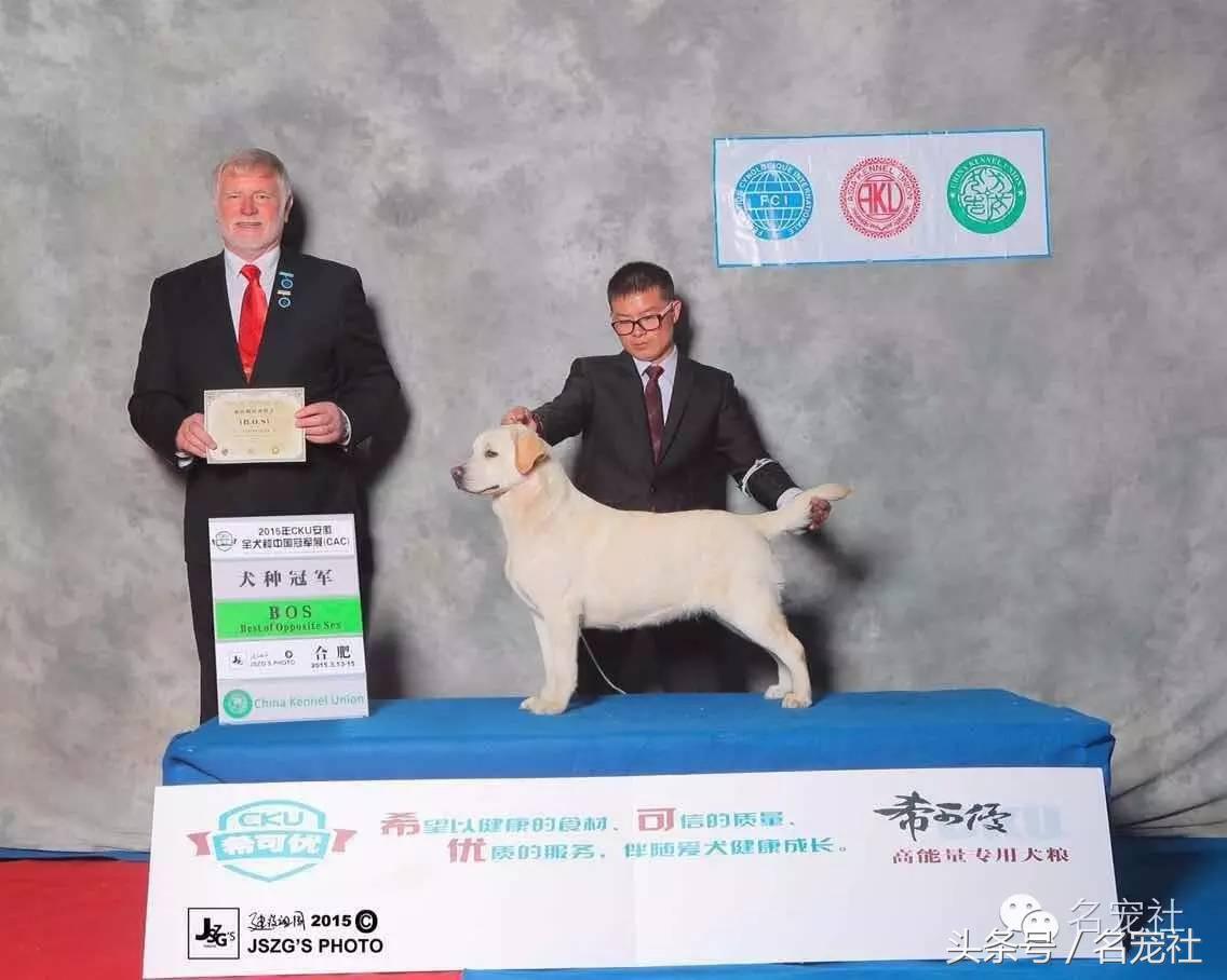 优基10kg中型犬粮,优基小型犬全价幼犬粮