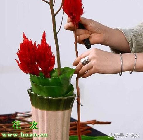 插花花艺制作过程学习,多种风格插花教程