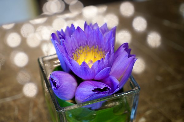 武汉依然繁华,武汉三个烟火气和浪漫的城市