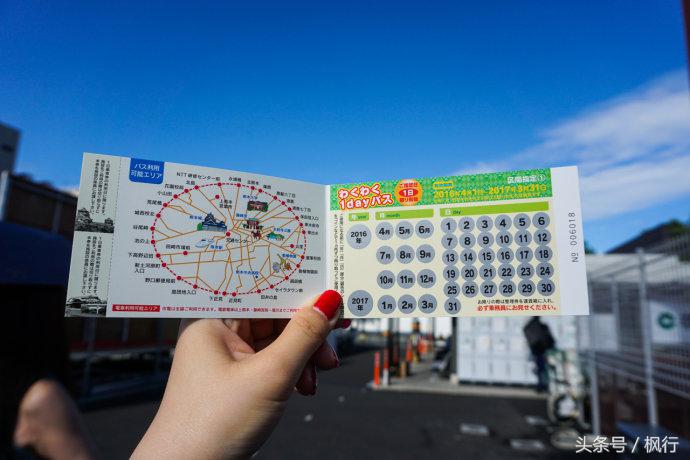 酷ma萌陪伴机器人熊本熊,酷ma萌和熊本熊