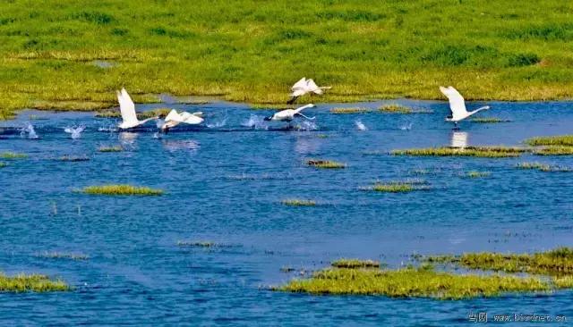 沪昆高铁湘赣段,沪昆高铁沪杭段开通