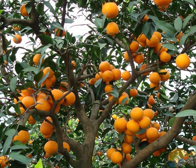 护眼隐藏灯,眼部护眼最好的方法