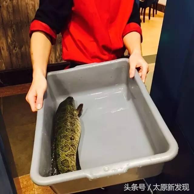 太原短发妹子注意咯!这家火锅3.9折!头发越短!折扣越大!