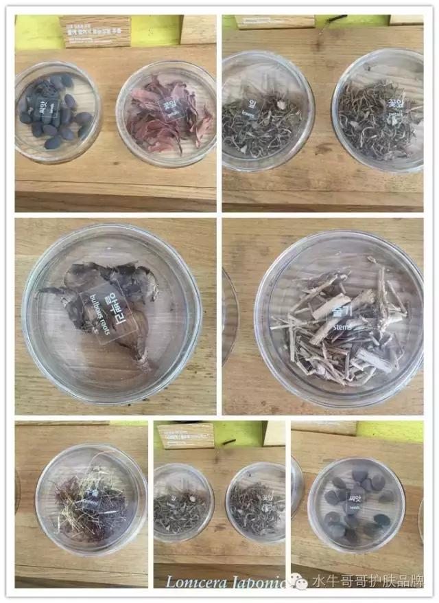 韩国化妆品工厂都有什么活,韩国化妆品都是哪里生产的