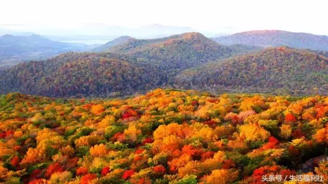 哈尔滨与人民有关的标志,哈尔滨标志性符号