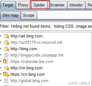 子域名搜集思路,子域名怎么收集