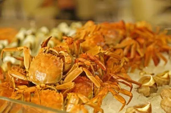 小资情调美食店,郑州实惠小众美食