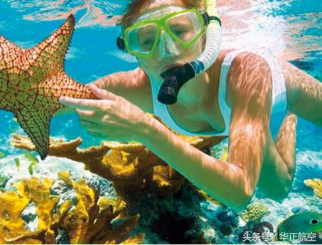 深圳恢复8条国际航线,深圳新增国际航线