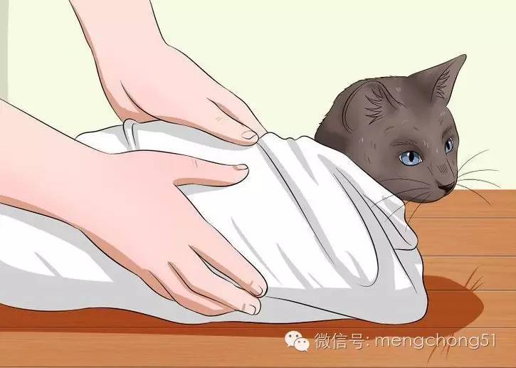 猫咪拉肚子怎么补救,猫咪拉肚子怎么治