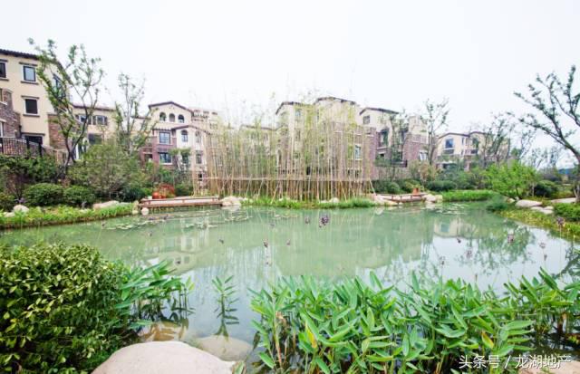 没有物管的老小区该找谁,没有物业的老小区归谁管