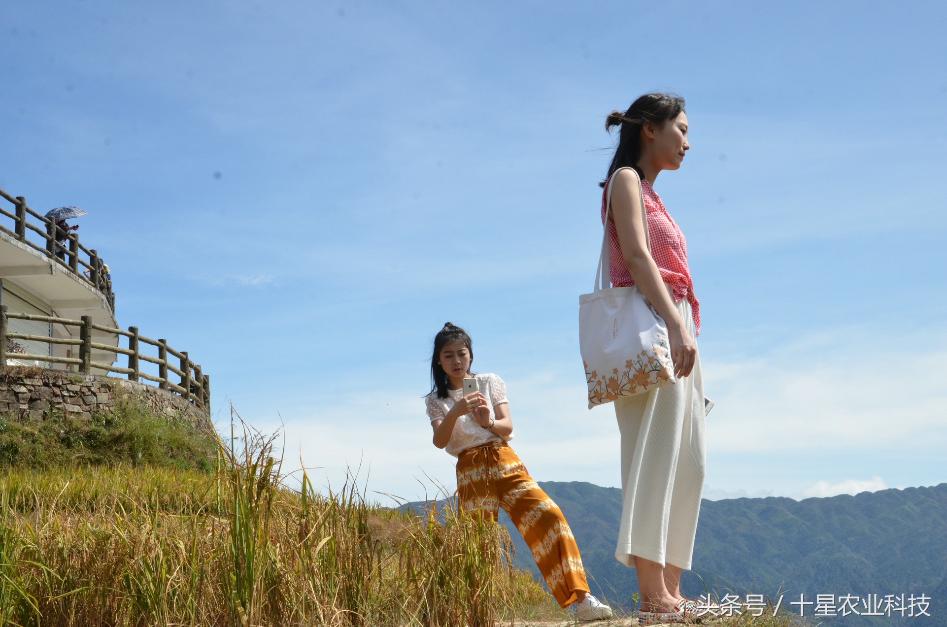 龙胜瑶族大寨龙脊梯田，原创拍摄几十图，有美女出镜哦！