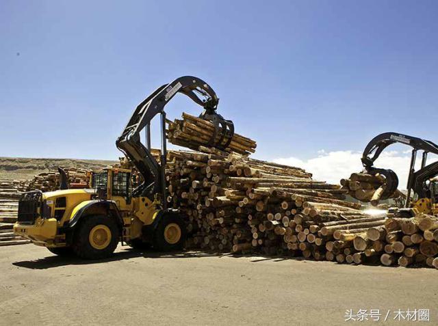 美加锯材纠纷，将会直接影响加拿大的出口价格