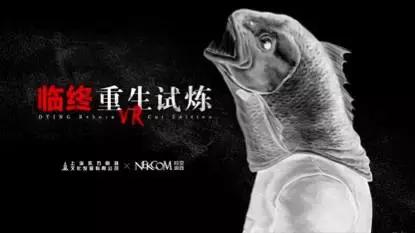 五年没有盈利的企业,联想创投到底有多强