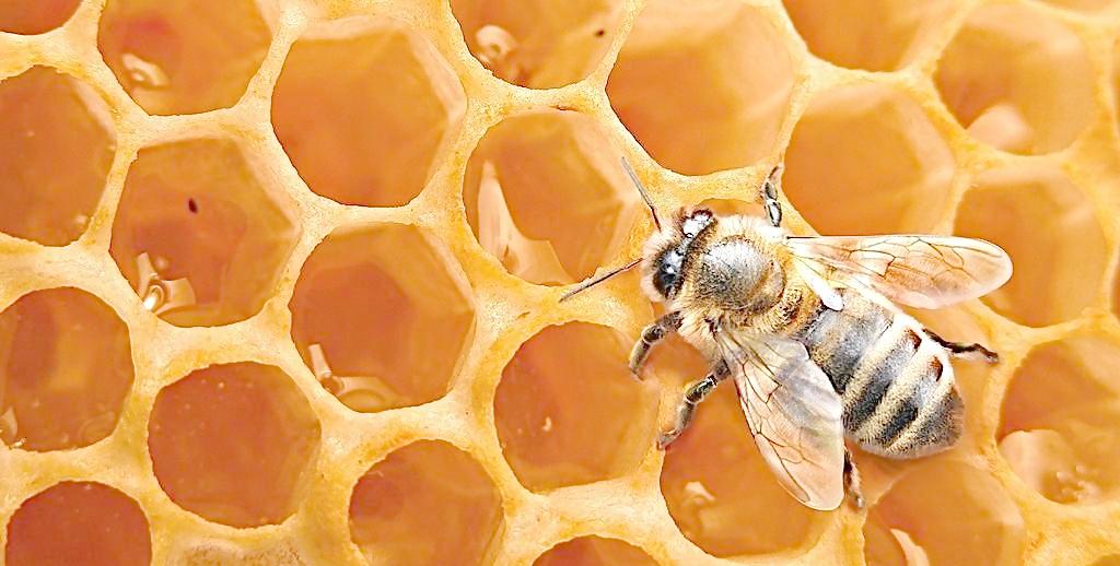 效果不输大牌产品的护肤小技巧 (有哪些好用的护肤小物品)