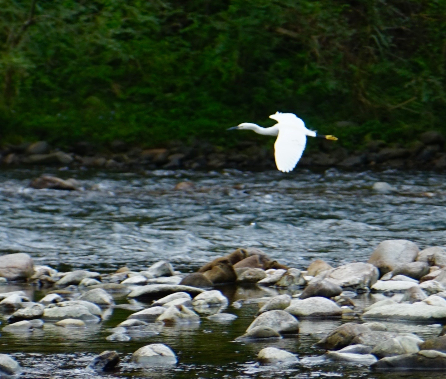 温州三八节免费景点,三八节好玩的地方温州