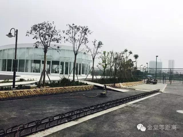 金堂健身不打烊,金堂健身步道完整版