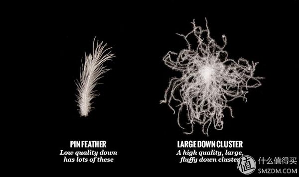 男士波司登防风羽绒服,冬季抗极寒加厚防寒羽绒服男款