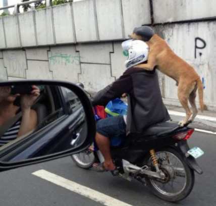 超全面防晕车攻略,坐大巴防晕车小妙招