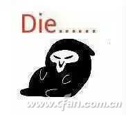 chrome浏览器打不开网页解决方法,为什么google浏览器打不开网页了