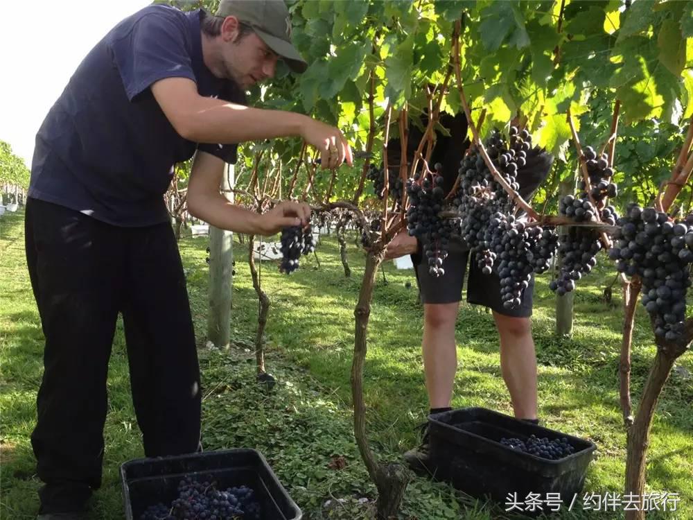 沉浸式感受中土世界,重回中土世界