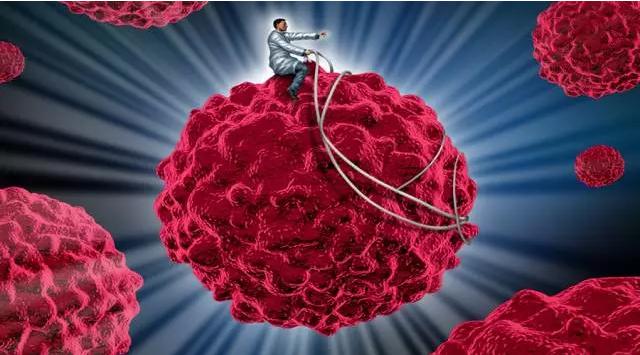 哪些肿瘤可以分子靶向治疗,肿瘤免疫治疗研究热点