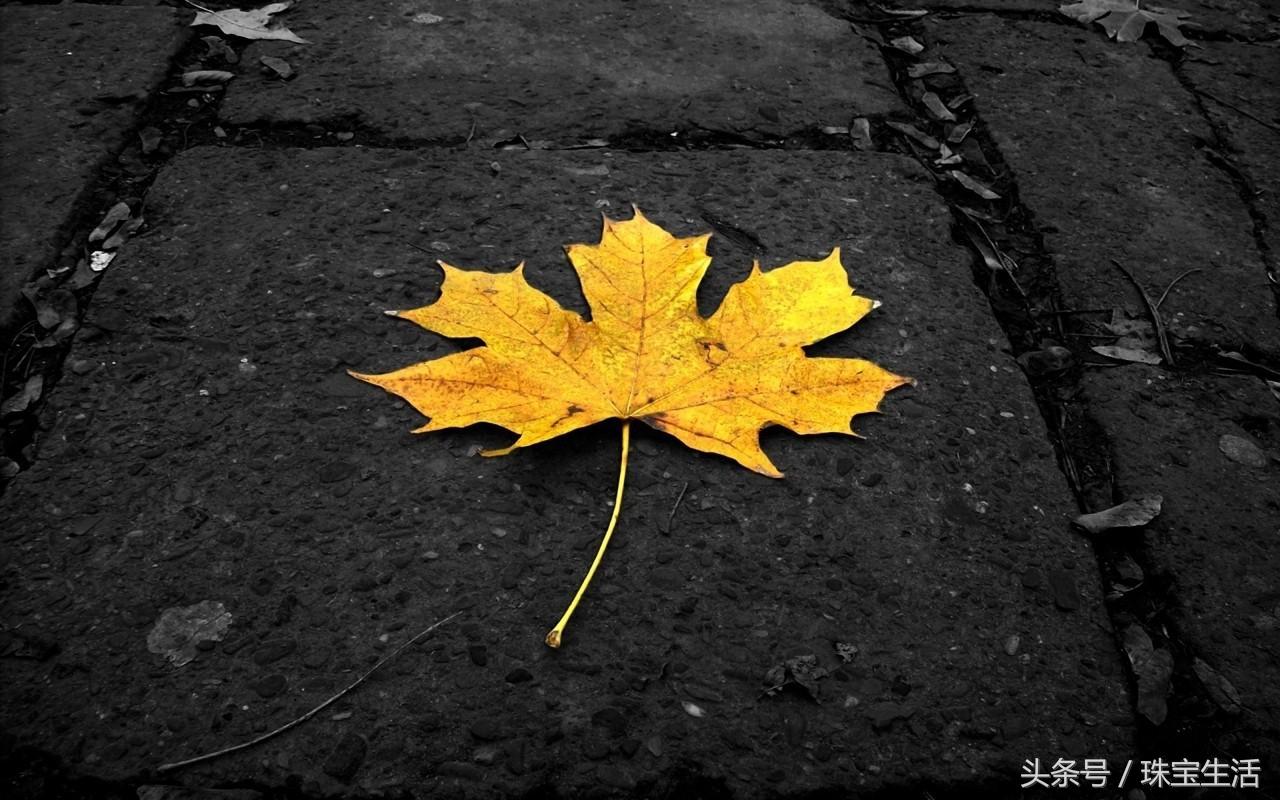 怎么挣钱买项链,一般卖一条项链赚多少钱