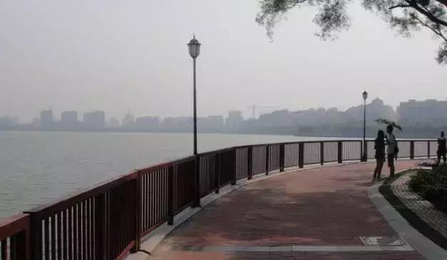 如果经历过这些事，恭喜你！你绝对是一名地道的肇庆人！