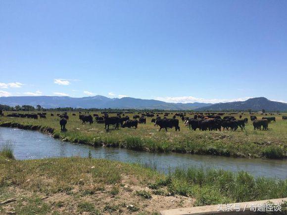 在美国旅游视频教学,美国自由行自驾游