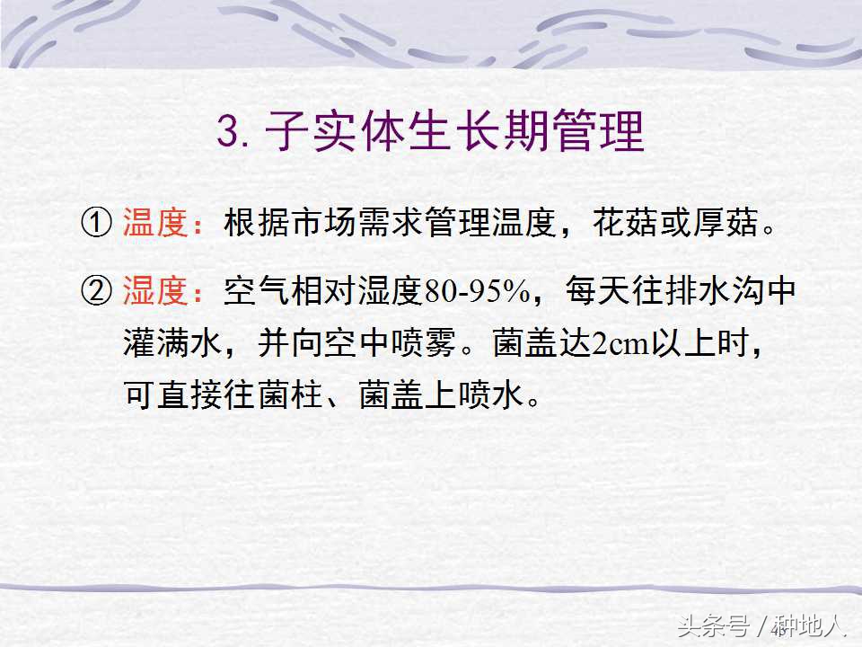 香菇栽培实用技术教案,屋顶香菇栽培