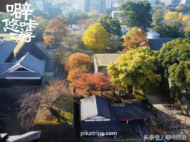 熊本熊游玩,日本熊本熊旅游