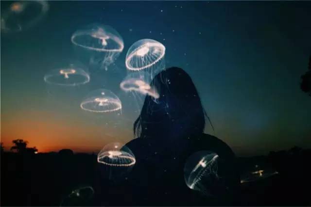 厦门是一座来了就不想走的城,厦门一座来了就不想走的城